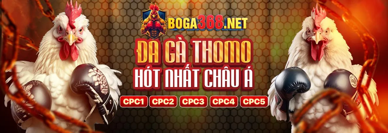 Giao diện đặt cược đá gà trực tuyến thân thiện của Gacam67